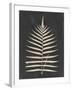 Linen Fern III-Vision Studio-Framed Art Print