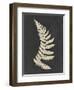 Linen Fern IV-Vision Studio-Framed Art Print