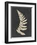 Linen Fern IV-Vision Studio-Framed Art Print