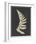 Linen Fern IV-Vision Studio-Framed Art Print