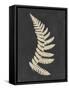 Linen Fern IV-Vision Studio-Framed Stretched Canvas