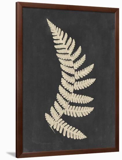 Linen Fern IV-Vision Studio-Framed Art Print