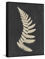 Linen Fern IV-Vision Studio-Framed Stretched Canvas