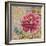 Linen Peony-Chad Barrett-Framed Art Print