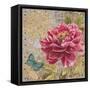 Linen Peony-Chad Barrett-Framed Stretched Canvas