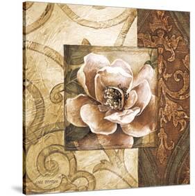 Linen Roses II-Linda Thompson-Stretched Canvas