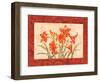 Linen Scroll Amaryllis-Paul Brent-Framed Art Print