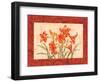 Linen Scroll Amaryllis-Paul Brent-Framed Art Print