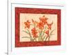 Linen Scroll Amaryllis-Paul Brent-Framed Art Print