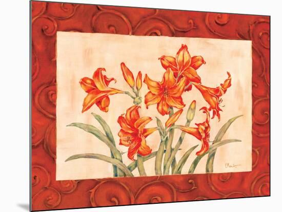 Linen Scroll Amaryllis-Paul Brent-Mounted Art Print