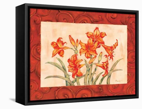 Linen Scroll Amaryllis-Paul Brent-Framed Stretched Canvas