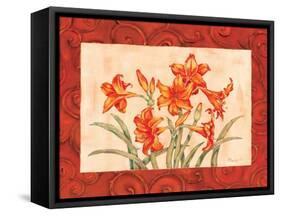 Linen Scroll Amaryllis-Paul Brent-Framed Stretched Canvas