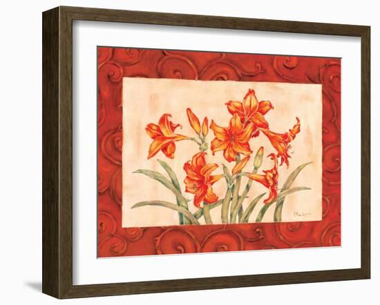 Linen Scroll Amaryllis-Paul Brent-Framed Art Print