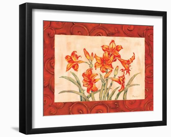 Linen Scroll Amaryllis-Paul Brent-Framed Art Print