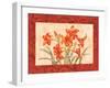 Linen Scroll Amaryllis-Paul Brent-Framed Art Print