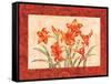 Linen Scroll Amaryllis-Paul Brent-Framed Stretched Canvas