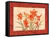 Linen Scroll Amaryllis-Paul Brent-Framed Stretched Canvas