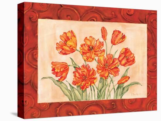 Linen Scroll Tulip-Paul Brent-Stretched Canvas