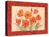 Linen Scroll Tulip-Paul Brent-Stretched Canvas