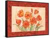 Linen Scroll Tulip-Paul Brent-Framed Stretched Canvas