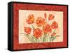 Linen Scroll Tulip-Paul Brent-Framed Stretched Canvas