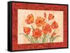 Linen Scroll Tulip-Paul Brent-Framed Stretched Canvas