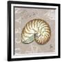 Linen Seaside 4-Chad Barrett-Framed Art Print