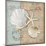 Linen Shells I-Paul Brent-Mounted Art Print