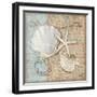 Linen Shells I-Paul Brent-Framed Art Print