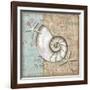 Linen Shells III-Paul Brent-Framed Art Print