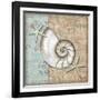 Linen Shells III-Paul Brent-Framed Art Print