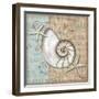 Linen Shells III-Paul Brent-Framed Art Print