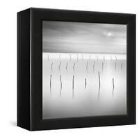 Lines 1-Moises Levy-Framed Stretched Canvas