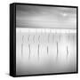 Lines 1-Moises Levy-Framed Stretched Canvas