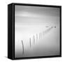 Lines 2-Moises Levy-Framed Stretched Canvas