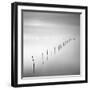 Lines 2-Moises Levy-Framed Giclee Print