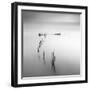 Lines 4-Moises Levy-Framed Giclee Print