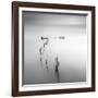 Lines 4-Moises Levy-Framed Giclee Print