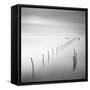 Lines 8-Moises Levy-Framed Stretched Canvas