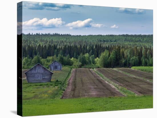 Lines, Barns and Green under Blue Cloudy Skies in Finnish Lapland.-Claudine Van Massenhove-Stretched Canvas