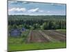 Lines, Barns and Green under Blue Cloudy Skies in Finnish Lapland.-Claudine Van Massenhove-Mounted Photographic Print