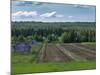 Lines, Barns and Green under Blue Cloudy Skies in Finnish Lapland.-Claudine Van Massenhove-Mounted Photographic Print