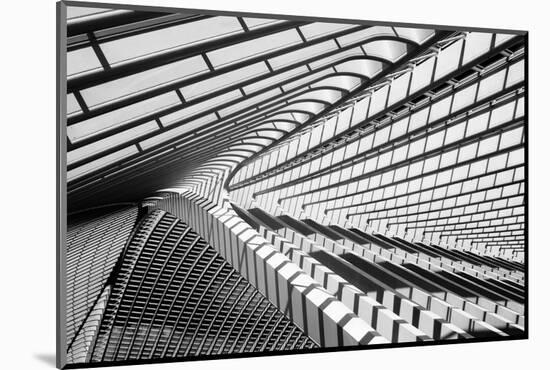 Lines in Liege-Jeroen Van-Mounted Photographic Print