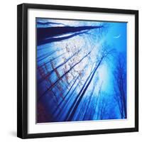 Lines of Flight-Philippe Sainte-Laudy-Framed Photographic Print