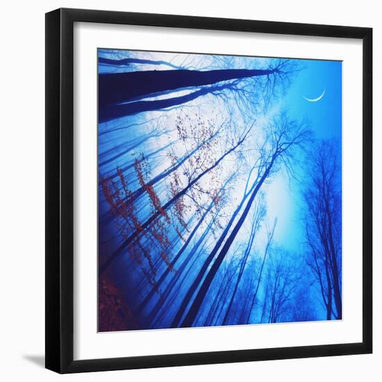 Lines of Flight-Philippe Sainte-Laudy-Framed Photographic Print