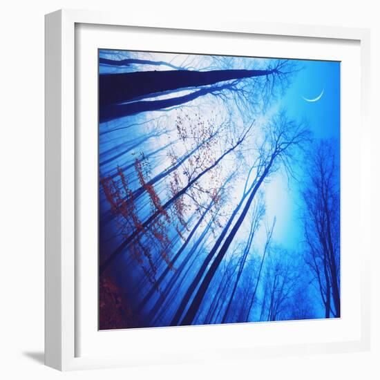 Lines of Flight-Philippe Sainte-Laudy-Framed Photographic Print