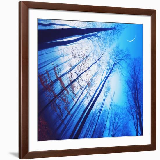 Lines of Flight-Philippe Sainte-Laudy-Framed Photographic Print