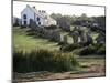 Lines of Menec, Carnac, Brittany, France-Adam Woolfitt-Mounted Photographic Print