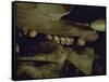 Lines of Skulls in Cave, Indonesia-Michael Brown-Framed Stretched Canvas