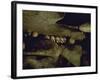 Lines of Skulls in Cave, Indonesia-Michael Brown-Framed Photographic Print